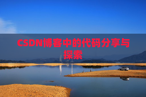 CSDN博客中的代码分享与探索